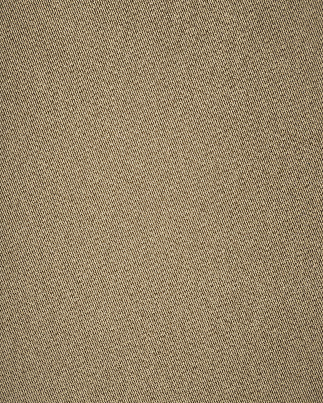 swatch Earthy Khaki