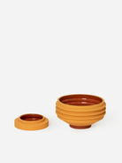 Yellow Strata Plant Vessel Areaware Planter House Plant