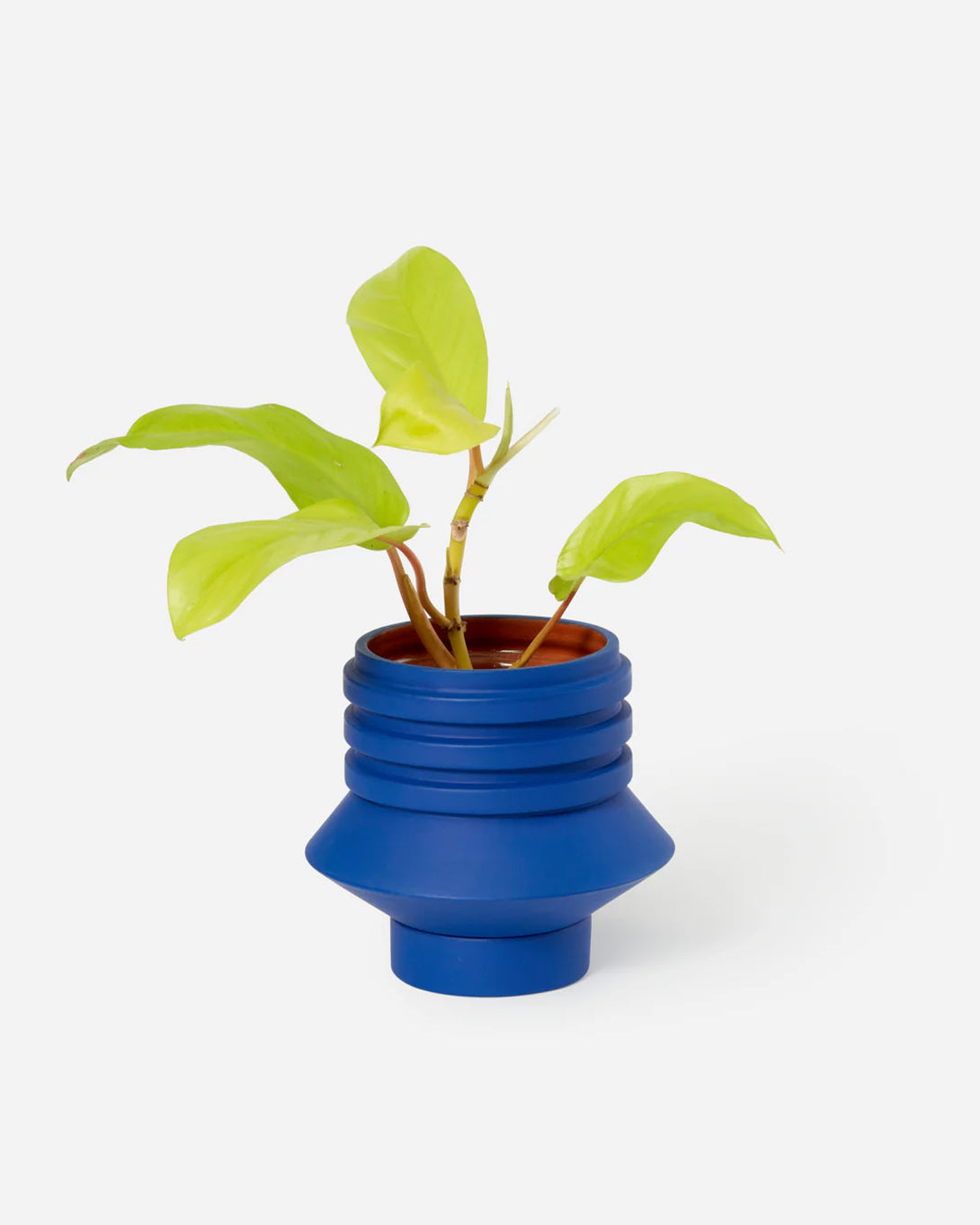 Blue Strata Plant Vessel Areaware Planter House Plant