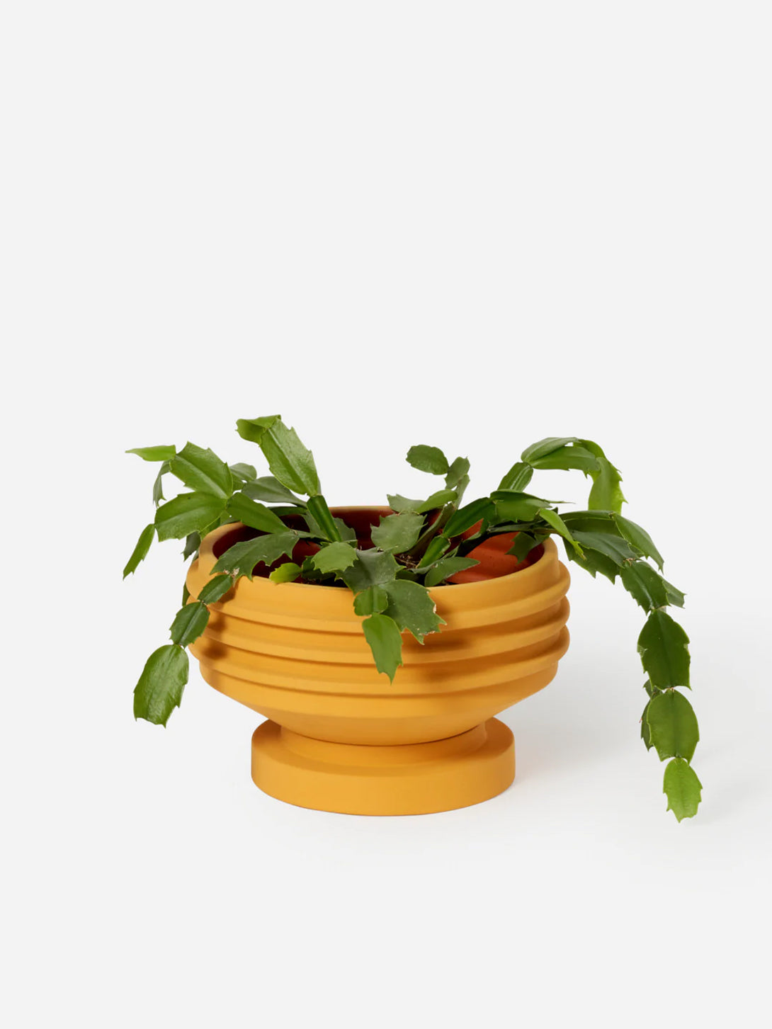 Yellow Strata Plant Vessel Areaware Planter House Plant
