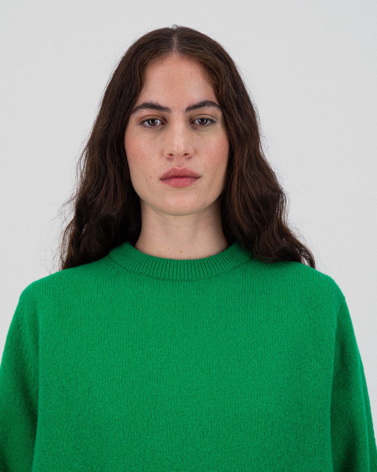 Green Delight Ventures in Space Green Crewneck Pullover Sweater Howlin