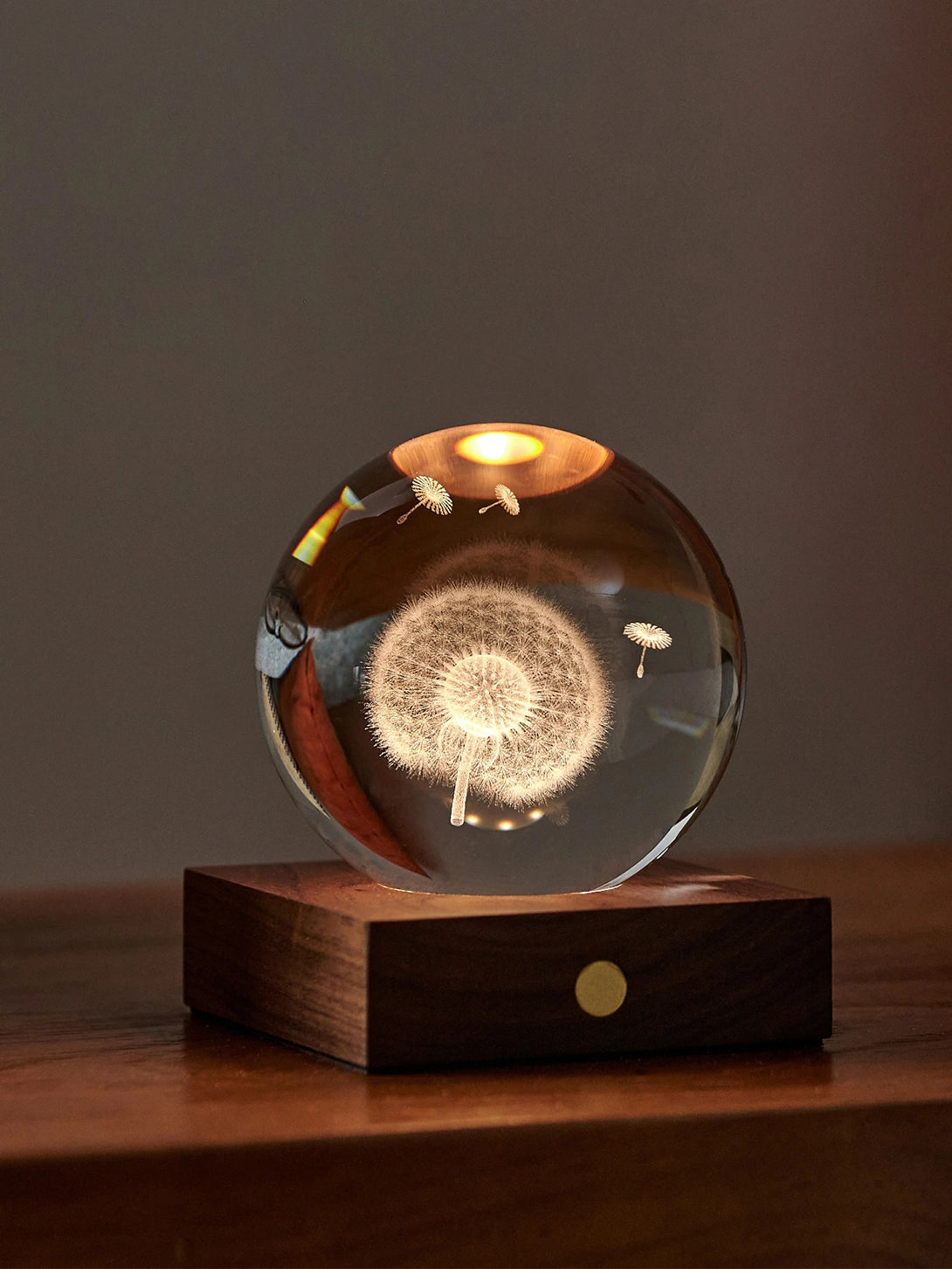 Dandelions Amber Crystal Light Gingko Nightlight Book Lamp Bedside Table Light