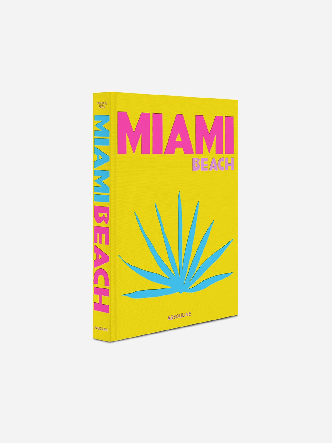 Multi Miami Beach Assouline Decor Display Coffee Table Book