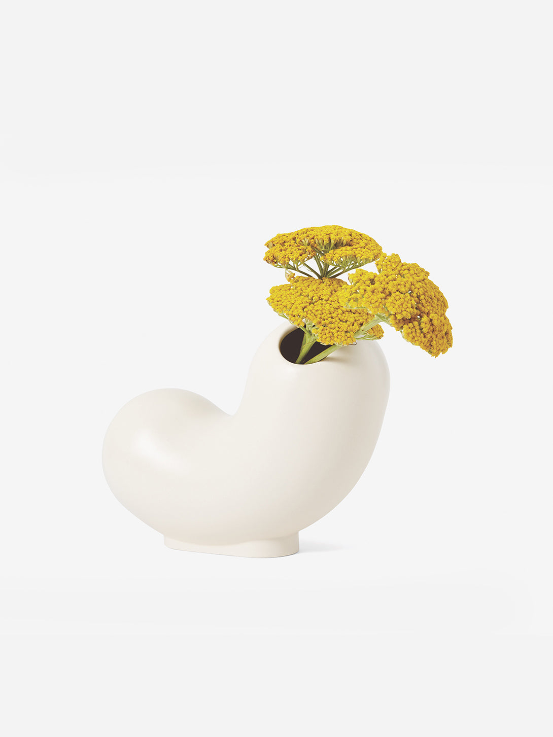 Curly Kirby Vase