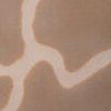 swatch LATTE