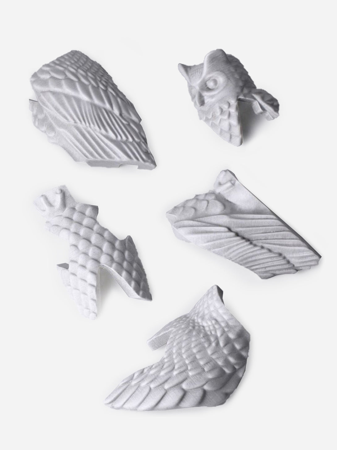 White Small Owl