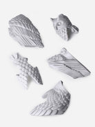 White Small Owl