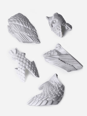 White Small Owl