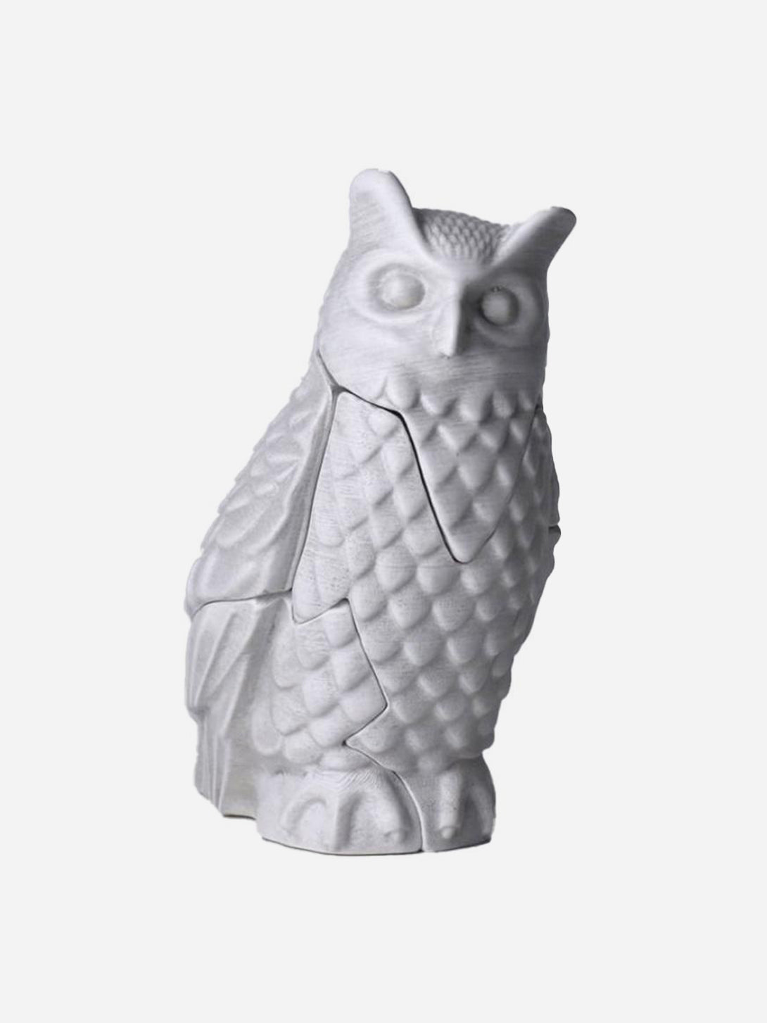 White Small Owl