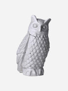 White Small Owl