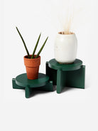 Green Plant Pedastal