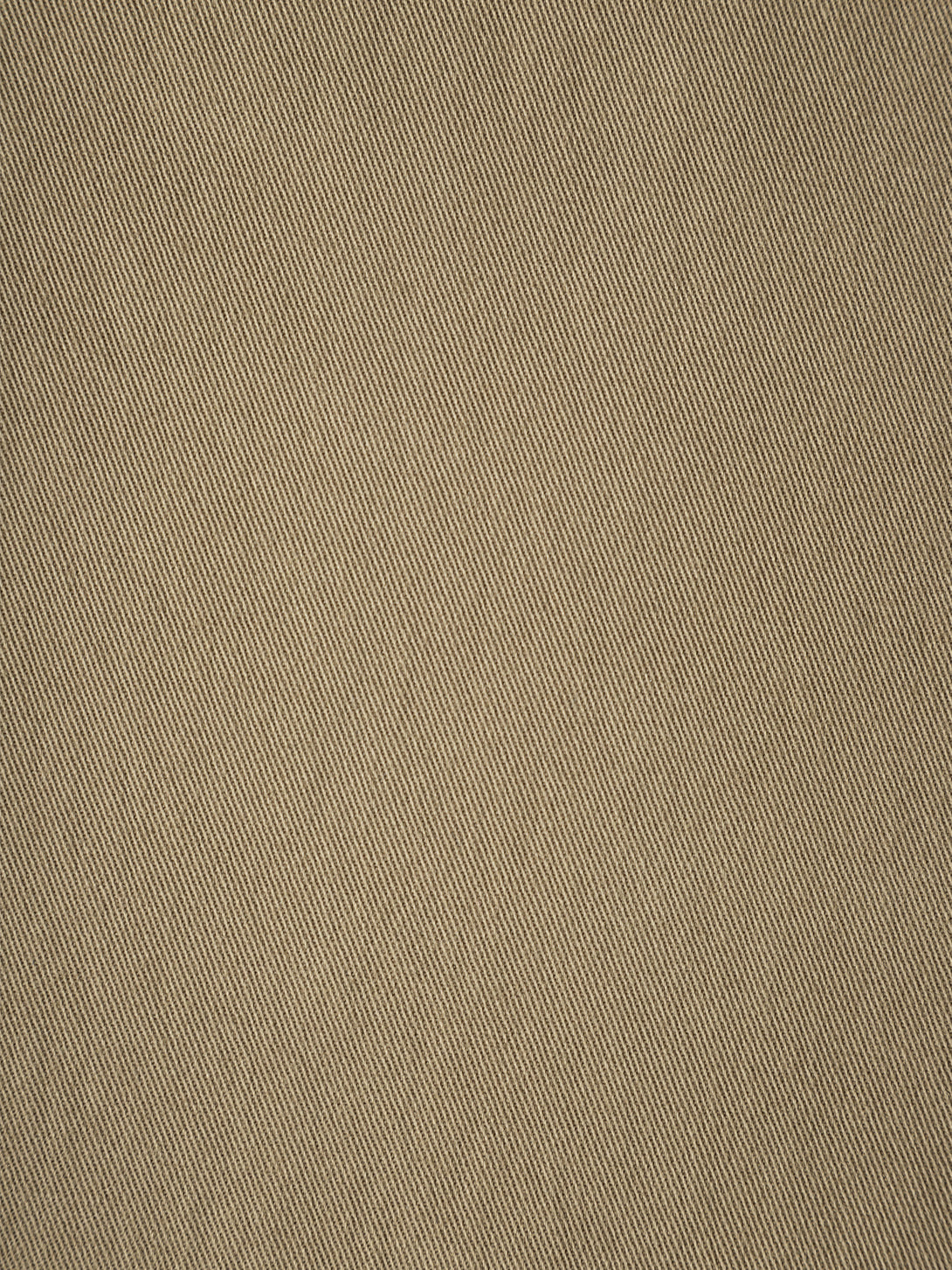 swatch Earthy Khaki 