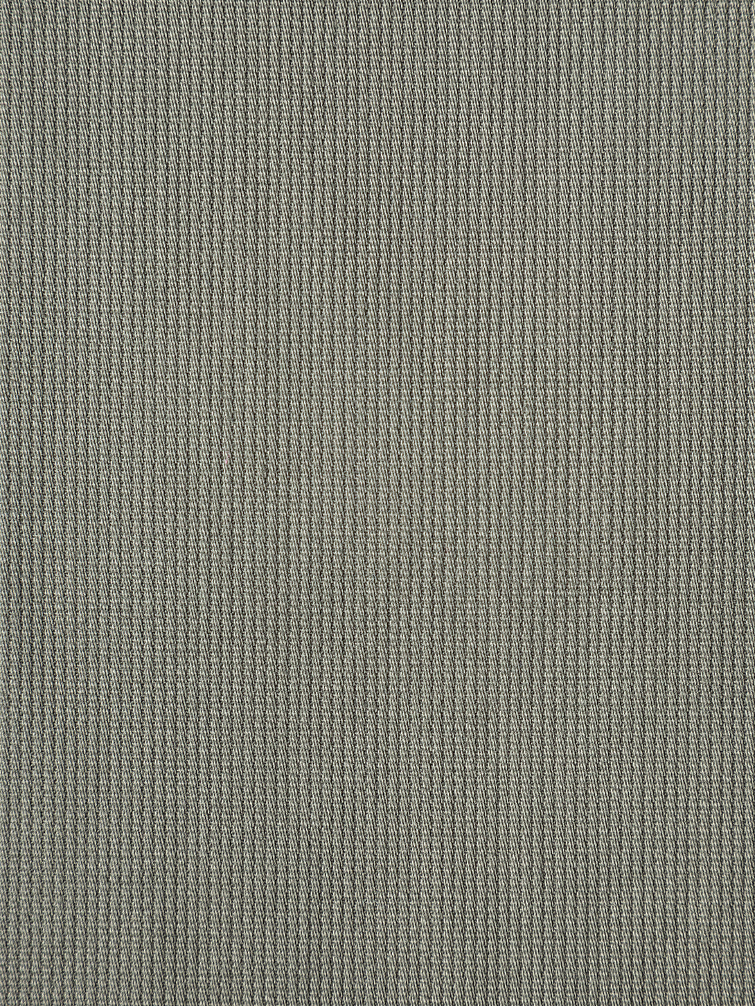 swatch Castor Grey 