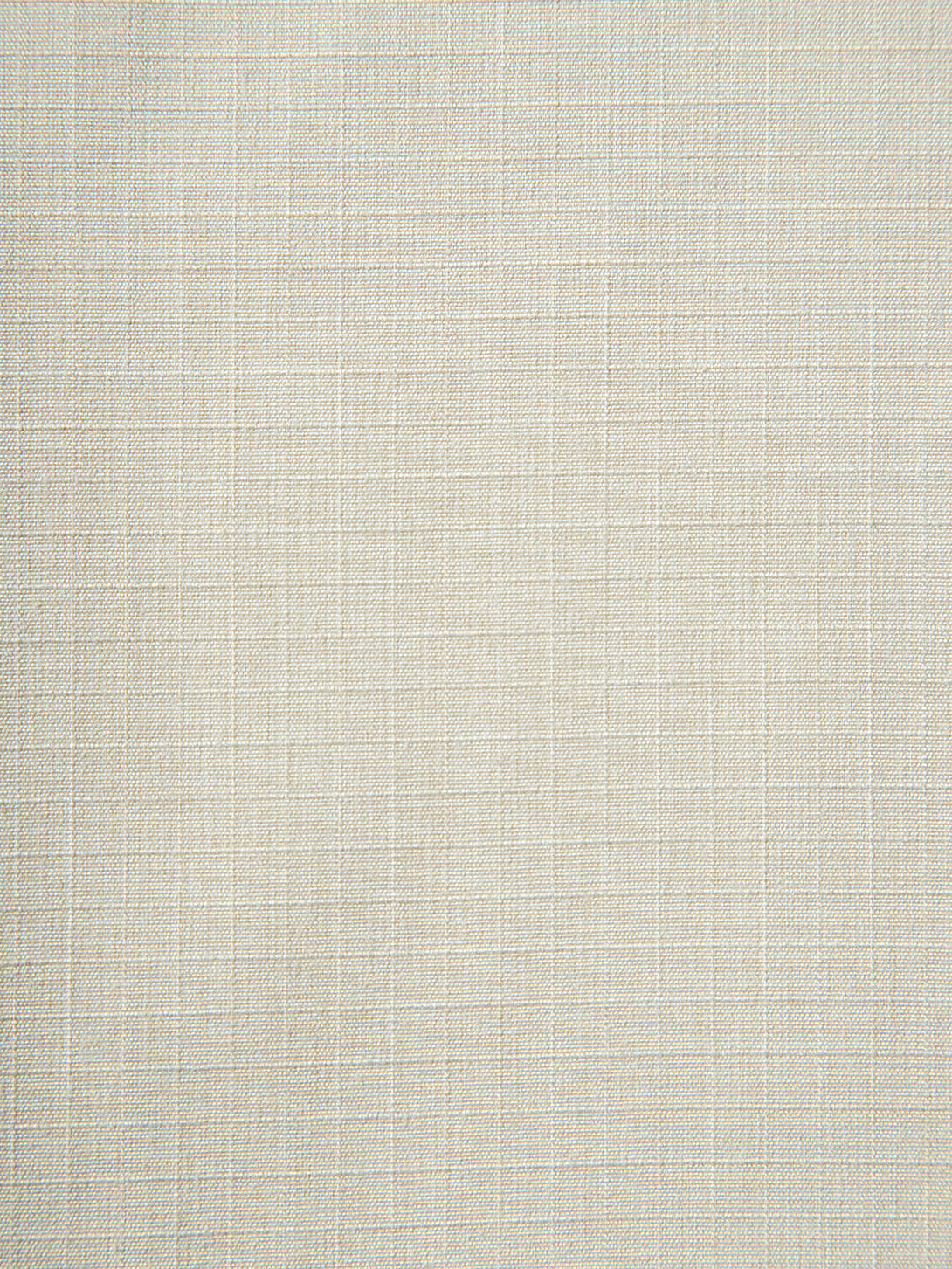swatch Silver Birch 