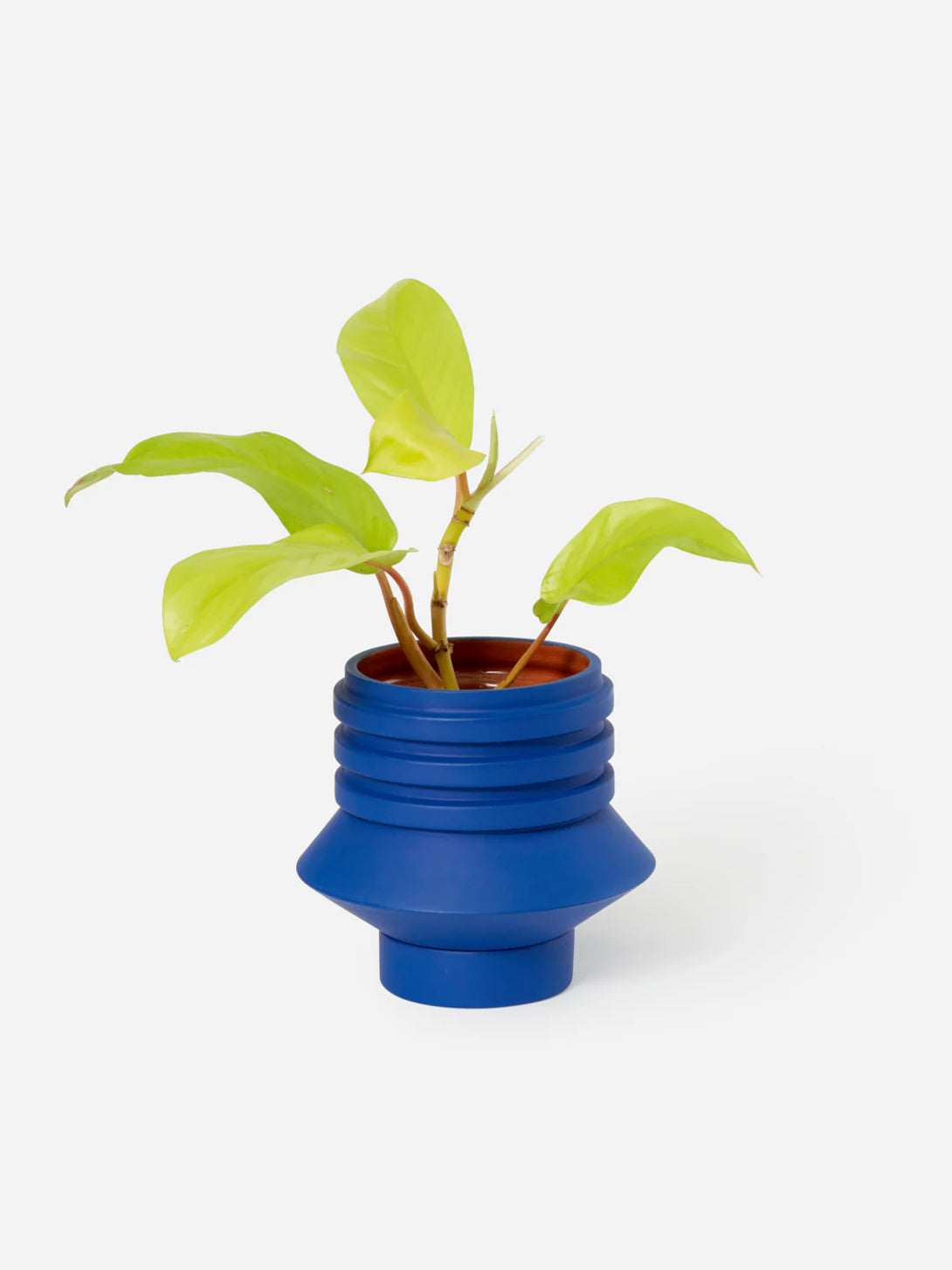 Blue Strata Plant Vessel Areaware Planter House Plant 