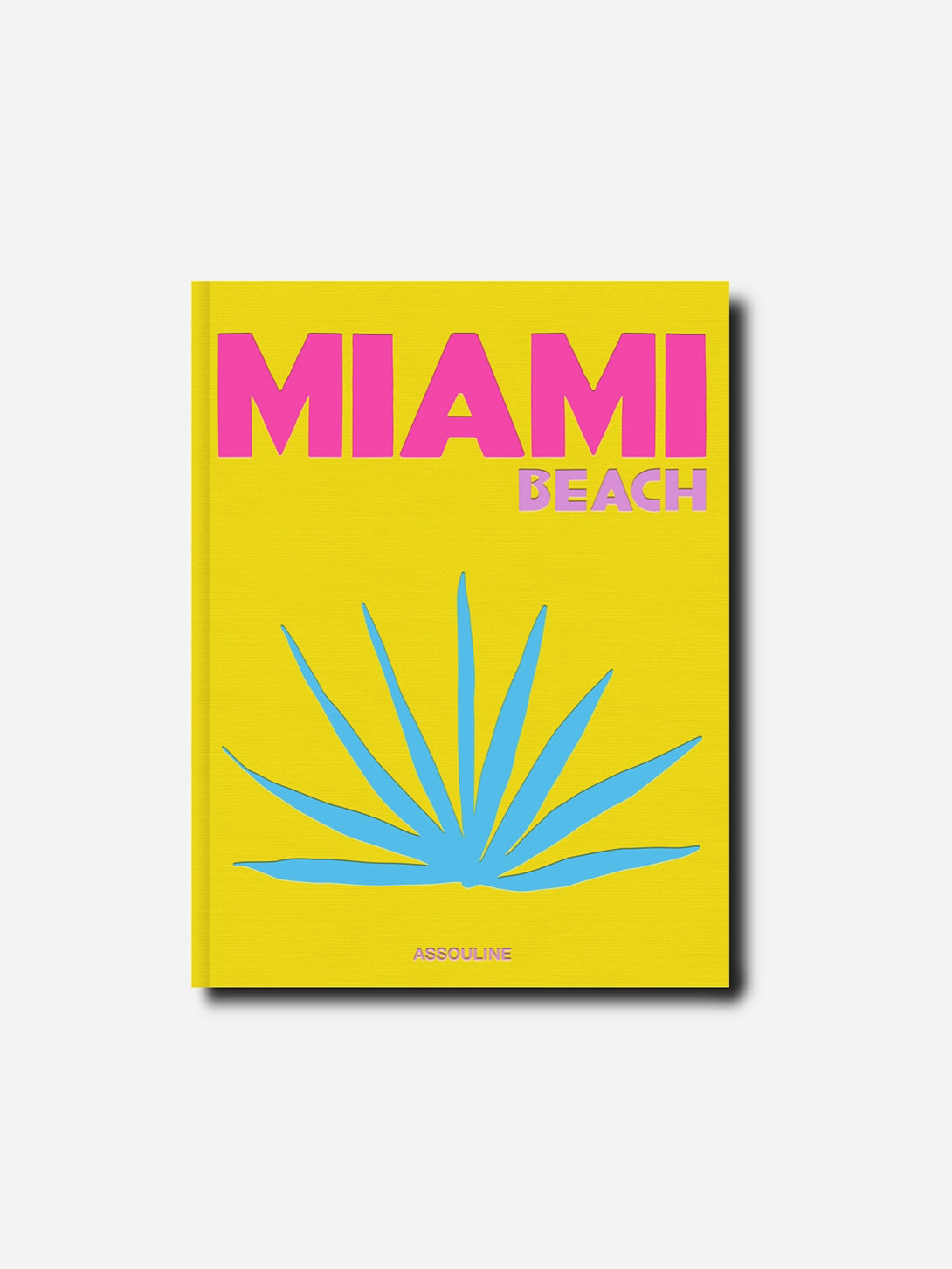 Multi Miami Beach Assouline Decor Display Coffee Table Book