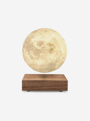American Walnut Smart Moon Lamp Gingko Ambient Lighting Bedside Table Light Nightlight