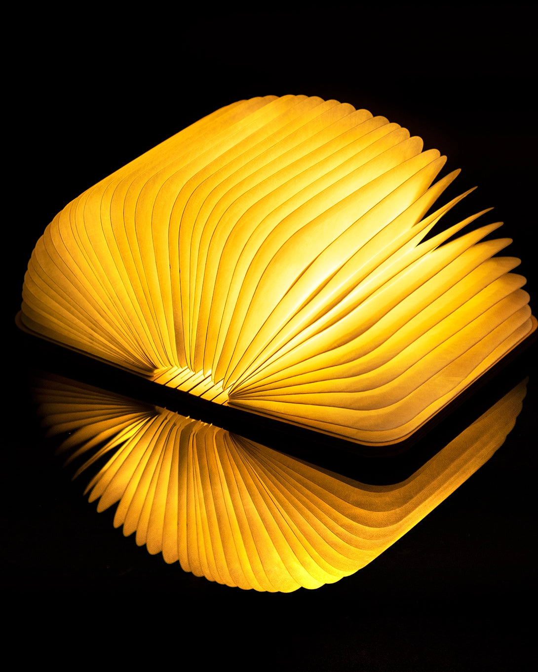 Brown Walnut Smart Book Gingko Nightstand Light Reading Lamp Bedside Table Nightlight Creative Ambient Lighting